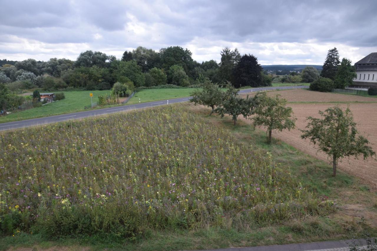 Fewo Landweg Limburg an der Lahn Eksteriør billede